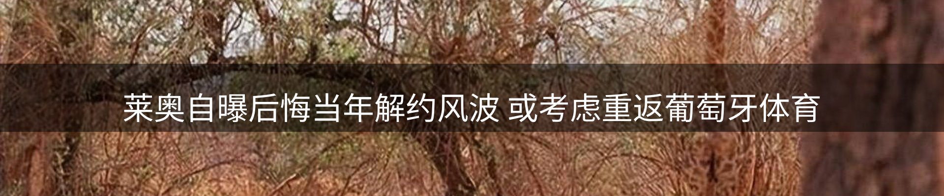 热点视窗